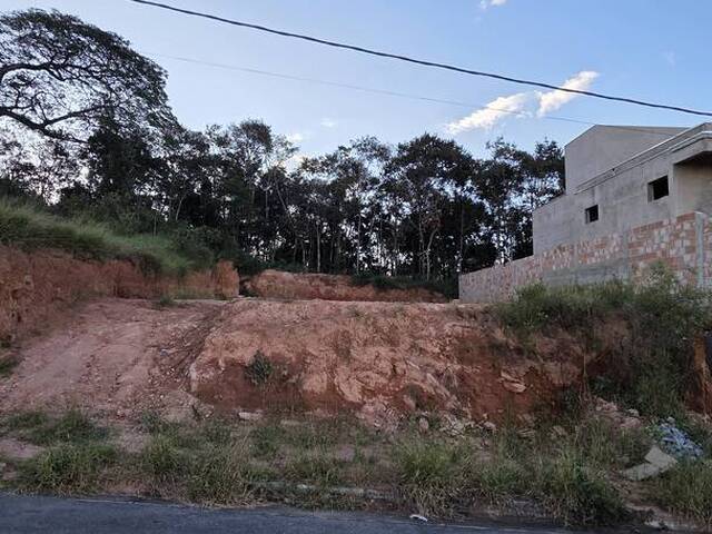 #161 - Lotes para Venda em Itabirito - MG - 1