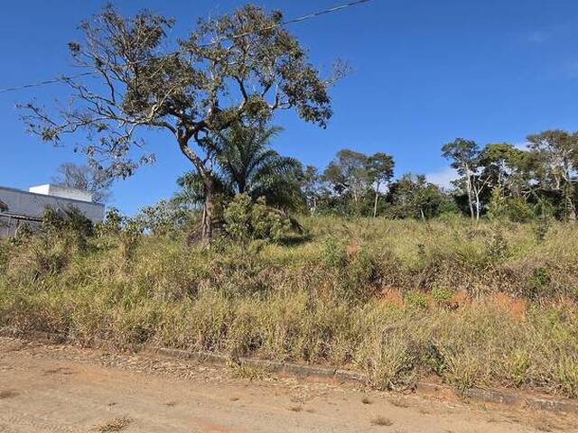 #184 - Área para Venda em Itabirito - MG